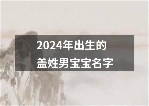 2024年出生的盖姓男宝宝名字