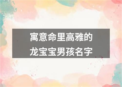 寓意命里高雅的龙宝宝男孩名字