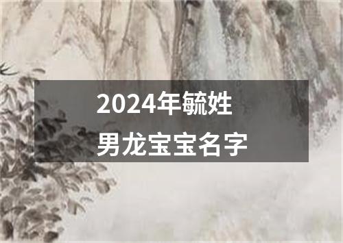 2024年毓姓男龙宝宝名字