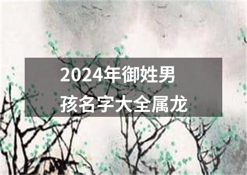 2024年御姓男孩名字大全属龙