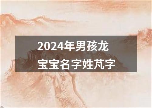 2024年男孩龙宝宝名字姓芃字