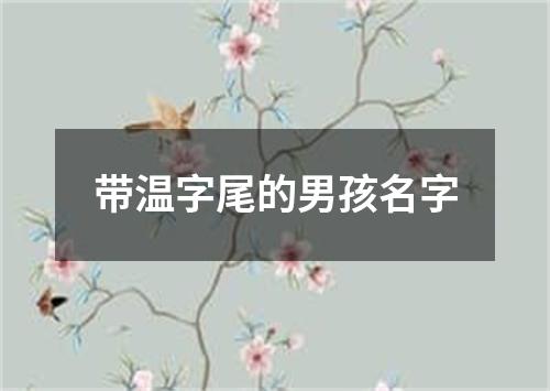 带温字尾的男孩名字