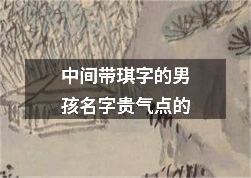 中间带琪字的男孩名字贵气点的