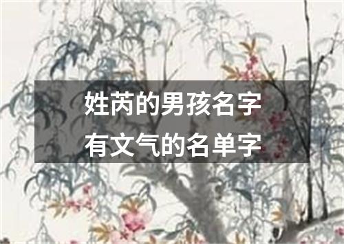 姓芮的男孩名字有文气的名单字