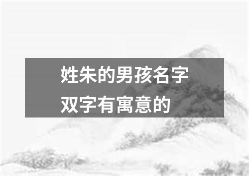 姓朱的男孩名字双字有寓意的