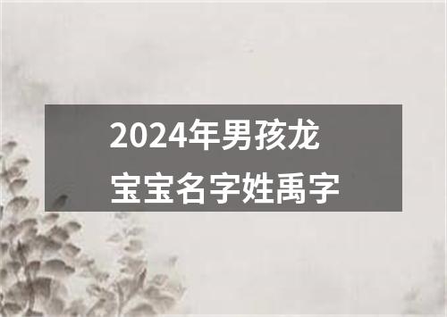 2024年男孩龙宝宝名字姓禹字