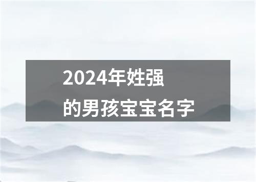 2024年姓强的男孩宝宝名字