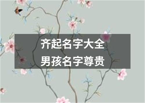 齐起名字大全男孩名字尊贵