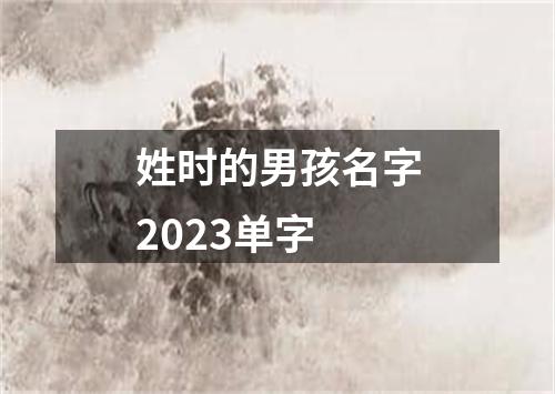 姓时的男孩名字2023单字