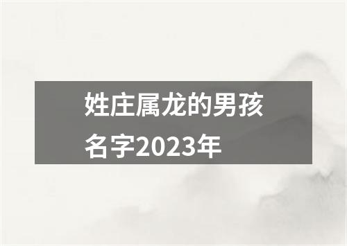 姓庄属龙的男孩名字2023年