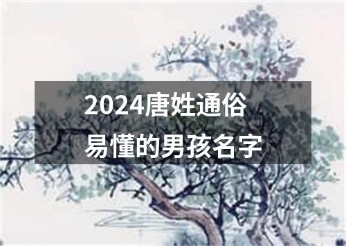 2024唐姓通俗易懂的男孩名字