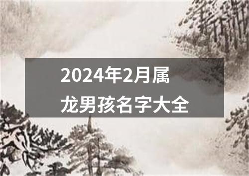 2024年2月属龙男孩名字大全