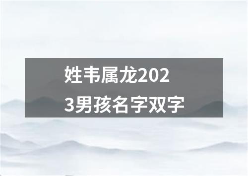 姓韦属龙2023男孩名字双字