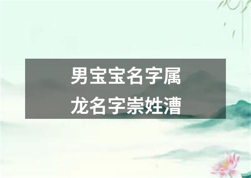 男宝宝名字属龙名字崇姓漕