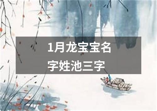 1月龙宝宝名字姓池三字