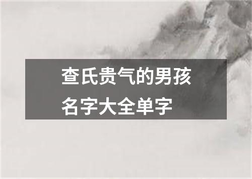 查氏贵气的男孩名字大全单字