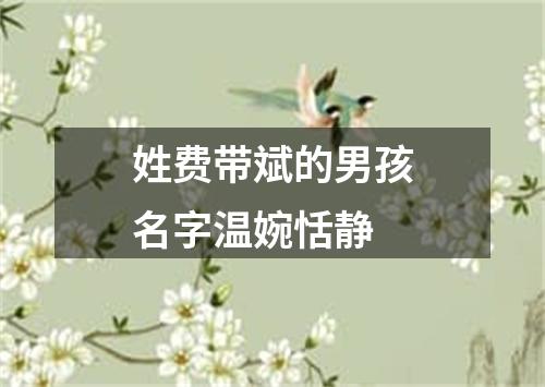 姓费带斌的男孩名字温婉恬静