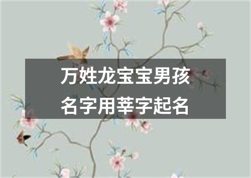 万姓龙宝宝男孩名字用莘字起名