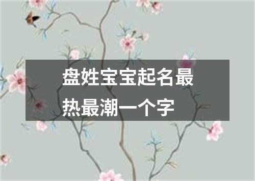 盘姓宝宝起名最热最潮一个字