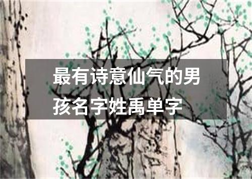 最有诗意仙气的男孩名字姓禹单字