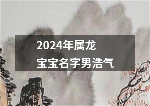 2024年属龙宝宝名字男浩气