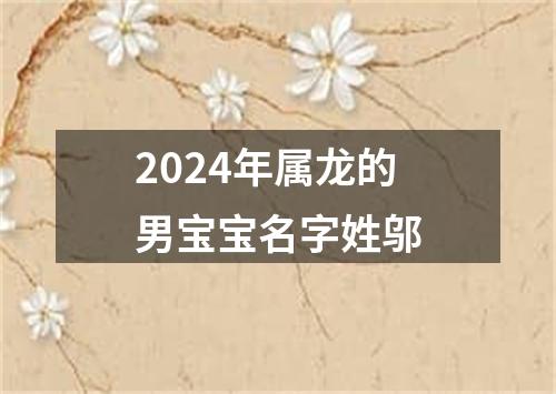 2024年属龙的男宝宝名字姓邬