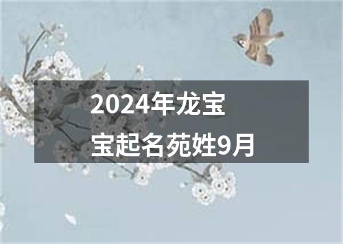 2024年龙宝宝起名苑姓9月