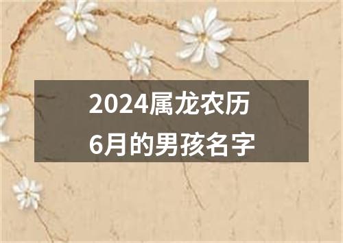 2024属龙农历6月的男孩名字