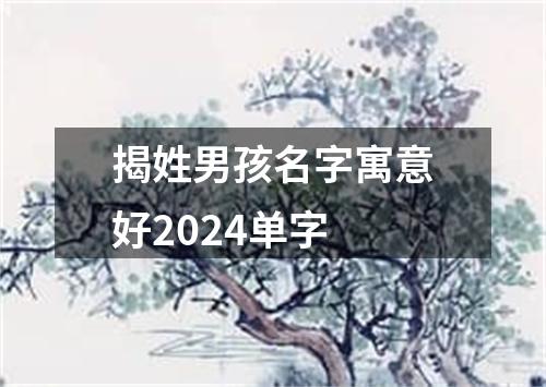 揭姓男孩名字寓意好2024单字