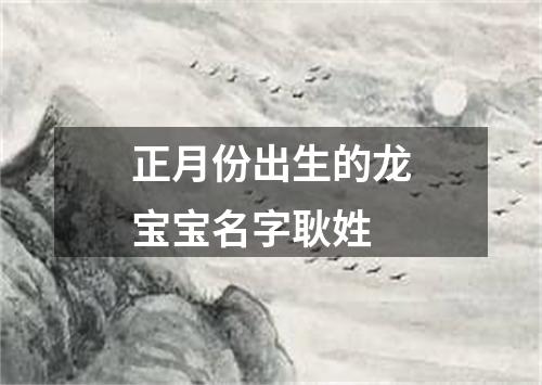 正月份出生的龙宝宝名字耿姓