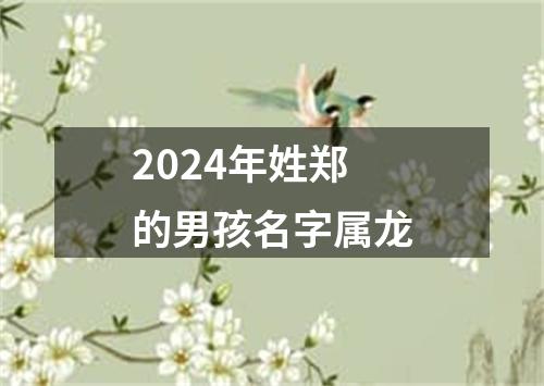 2024年姓郑的男孩名字属龙