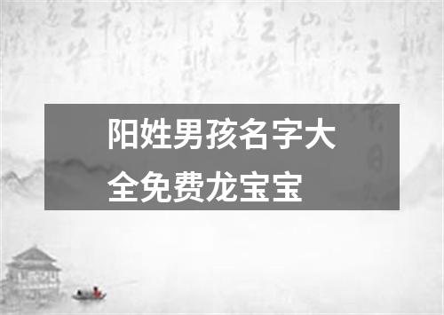 阳姓男孩名字大全免费龙宝宝