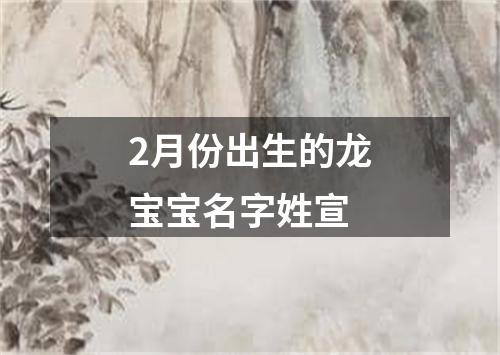 2月份出生的龙宝宝名字姓宣