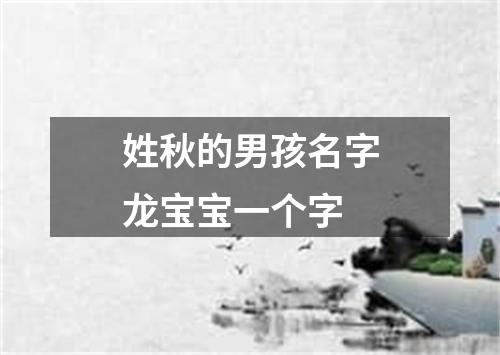 姓秋的男孩名字龙宝宝一个字