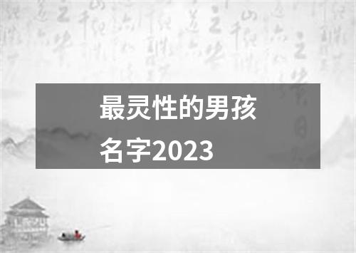 最灵性的男孩名字2023