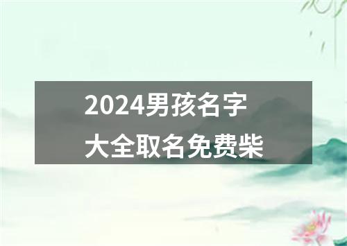 2024男孩名字大全取名免费柴