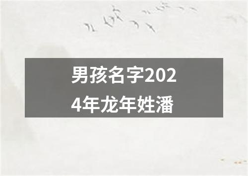 男孩名字2024年龙年姓潘