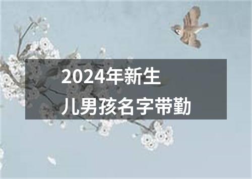 2024年新生儿男孩名字带勤