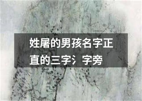 姓屠的男孩名字正直的三字氵字旁