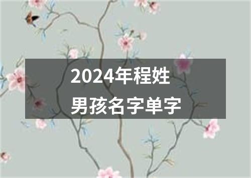 2024年程姓男孩名字单字