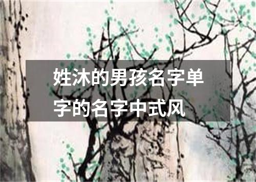 姓沐的男孩名字单字的名字中式风