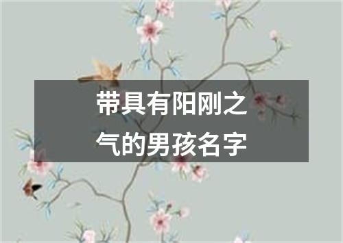 带具有阳刚之气的男孩名字