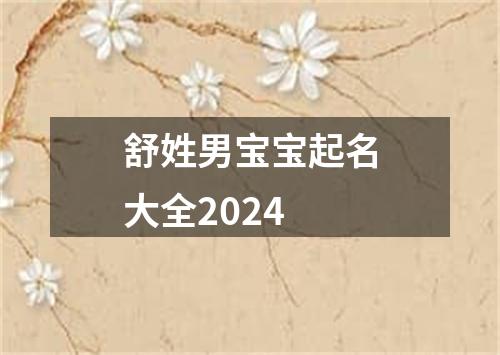 舒姓男宝宝起名大全2024