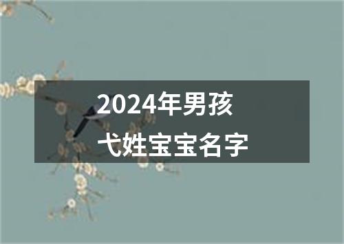 2024年男孩弋姓宝宝名字