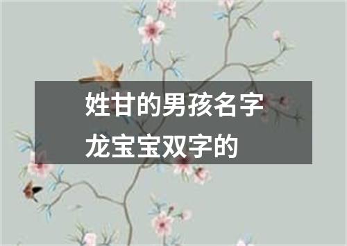 姓甘的男孩名字龙宝宝双字的