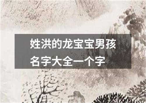 姓洪的龙宝宝男孩名字大全一个字