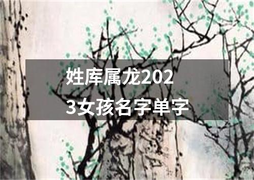 姓库属龙2023女孩名字单字