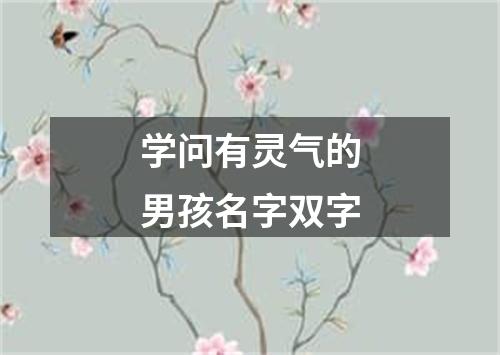 学问有灵气的男孩名字双字