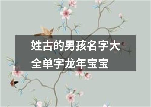 姓古的男孩名字大全单字龙年宝宝