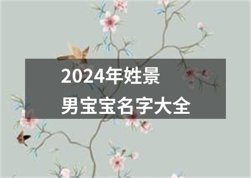 2024年姓景男宝宝名字大全